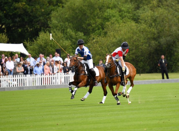 Слухи: королевская семья запланировала игру в поло, чтобы отвлечь внимание от ссоры между Гарри и Уильямом