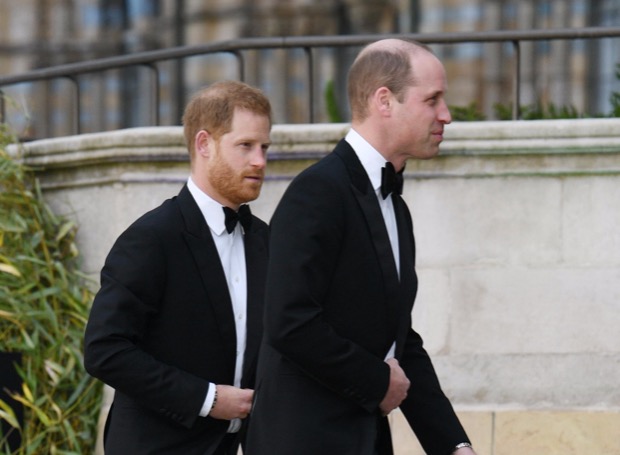 Принц Гарри и принц Уильям не разговаривают