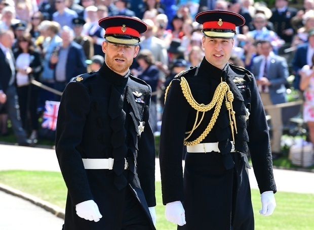 Источник: отношения принцев Гарри и Уильяма далеки от идеальных