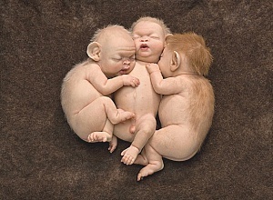 Как искусство помогает предотвратить экологическую катастрофу