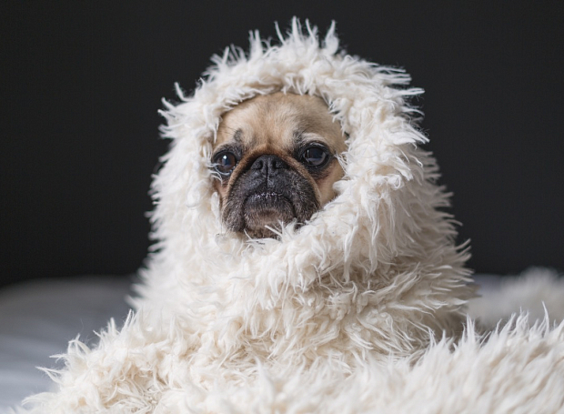 7 занятий для тех, кто остался на праздниках дома