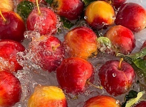 4 продукта, которые подарят мозгу заряд энергии