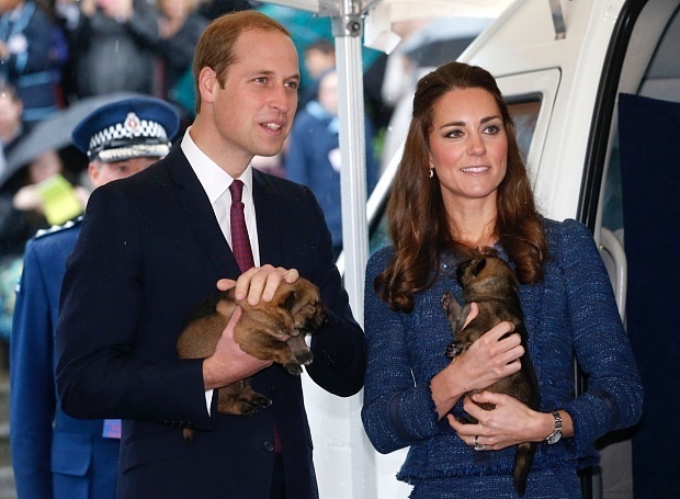 У Кейт Миддлтон и принца Уильяма прибавление