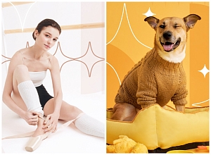 Что общего у собаки, балерины и почтальона?