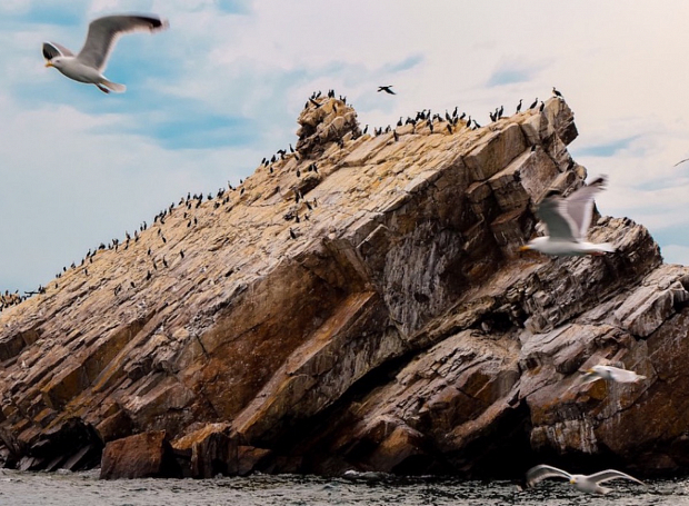 Едем на Байкал: где жить, что есть и чем заняться на острове Ольхон